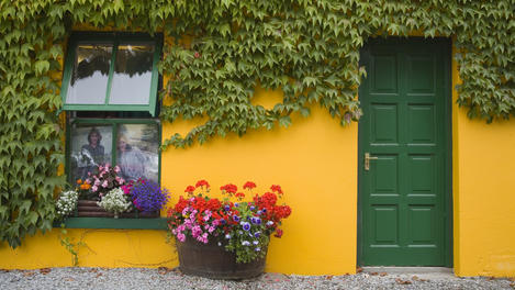 Ireland County Cork