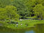 Image_26221-58