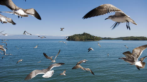 Peninsula de Nicoya and Puntarenas, Costa Rica