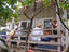 Hawaii's Plantation Village, Hawaii