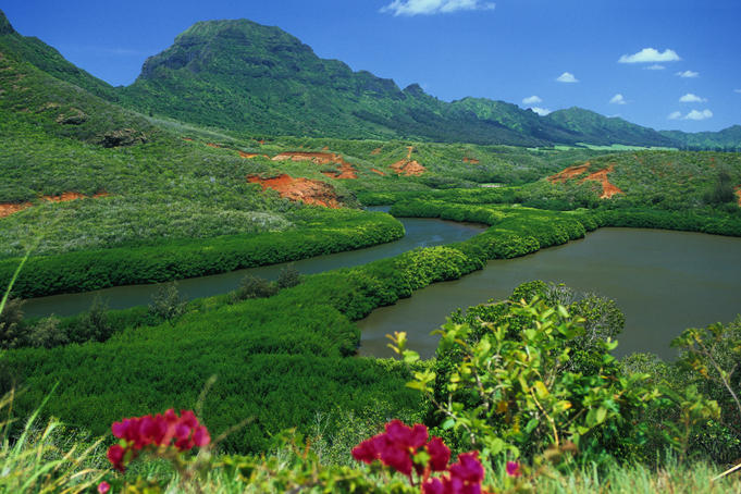 Overlooking a verdant green valley with Hule'ia Stream (left) and ancient Menehune Hawaiian fishpond (right) - seen from Hulemalu Road.
