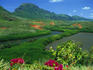 Overlooking a verdant green valley with Hule'ia Stream (left) and ancient Menehune Hawaiian fishpond (right) - seen from Hulemalu Road.