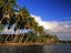 Kapuaiwa Palm Grove, Hawaii