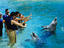 Image_26229-76
