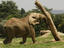 Image_26245-35