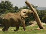 Elephant enclosure, Johannesburg Zoo.