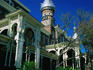 The Henry B Plant Museum, a railroad magnate opened the building originally as a hotel in 1891 and was one of the most luxurious places in the area -Tampa, Florida