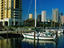 The marina in downtown Tampa, Florida