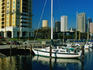 The marina in downtown Tampa, Florida