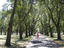 Image_26263-5
