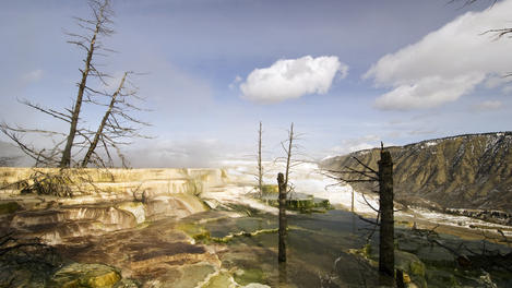 Wyoming Yellowstone National Park