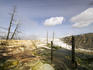 Dead trees in Terraces Hot Springs near Mammoth.