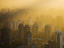 Image_26270-4