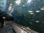 Image_26273-124