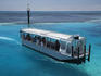 Glass-bottomed boat, Great Barrier Reef Marine Park.