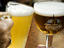 Image_26280-16