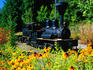 Steam train at World Forestry Museum, Portland, Oregon