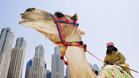 Middle East Image Gallery