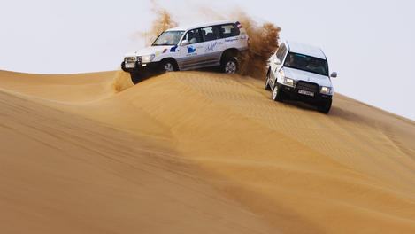 Arabian Desert Dubai 