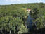 Image_26297-46