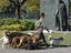 Image_26301-36