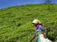Image_26331-10