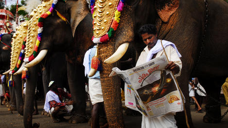 Kerala Image Gallery