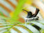 Image_26333-7