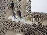 Maze of cardboard at gallery in 798 Art Zone (Dashanzi Art District).