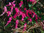 Image_2635-8