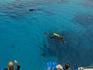 Snorkelling on the Great Barrier Reef.