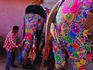 Elephants being prepared for Elephant Festival.