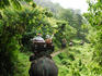 Tourists riding elephants along a Chiang Mai elephant camp trail.