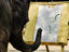 Image_26369-3