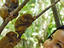 Image_26370-54