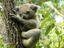 Image_26378-84