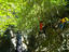 Wildlife Park, Phuket Province