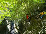 People at Bang Pae Falls in Khao Phra Thaew Wildlife Park.