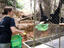 Gibbon Rehabilitation Centre, Phuket