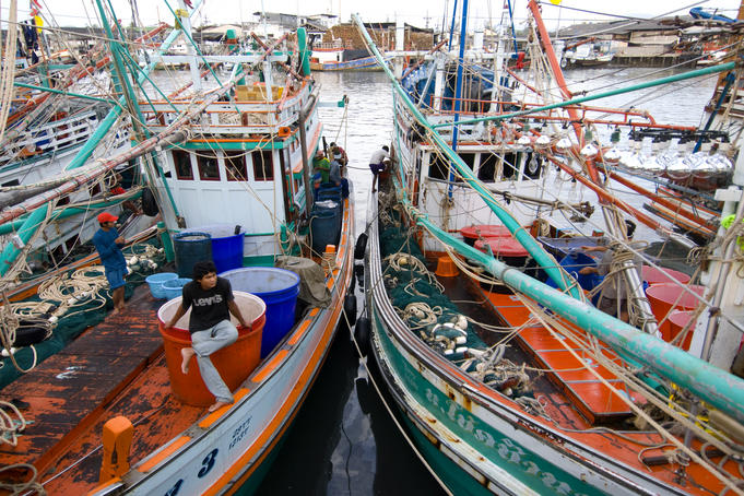 Fishing boats at pier.