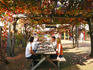 Jacaranda Restaurant at Houghtons Winery, Dale Road, Middle Swan.