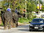 Elephant and car traffic on street.