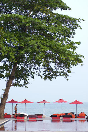 Pool umbrellas at The Library resort, Hat Chaweng.