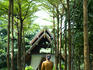 Thai woman walking at the Spa at Anantara Ko Samui.