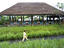 Image_26382-78