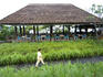 Sila Evason Hideaway Ko Samui eco-friendly resort.