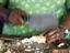 Chopping jackfruit, Fiji