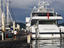 Phuket Yacht Haven marina.