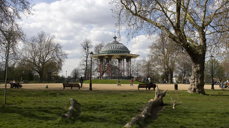 Image_26402-43