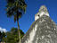 Temple 1 Mayan ruins, Guatemala